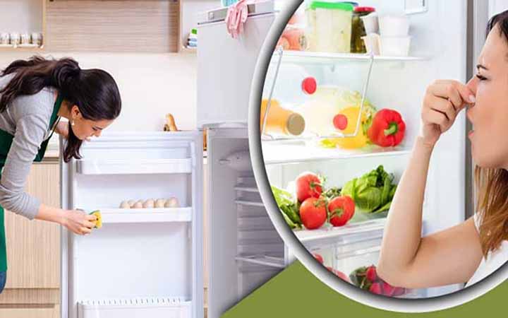 যে সহজ কৌশলে আপনার ফ্রিজ দুর্গন্ধমুক্ত করবেন
