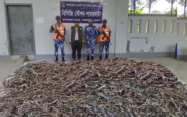 পাথরঘাটায় ৫ কোটি টাকা মূল্যের হাঙ্গরের শুঁটকি জব্দ