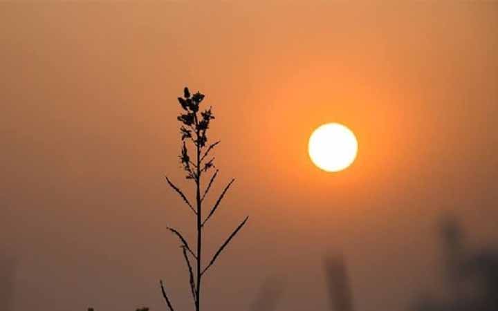 প্রতিদিন যে সূরা পাঠে সারাদিন মন ভালো থাকবে
