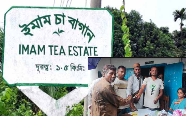 অবশেষে আন্দোলনের সুফল পেলেন নবীগঞ্জের দুটি বাগানের চা শ্রমিকরা