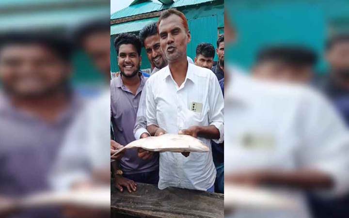 মেঘনায় ধরা পড়লো সাড়ে ৩ কেজির ইলিশ, ৭ হাজারে বিক্রি