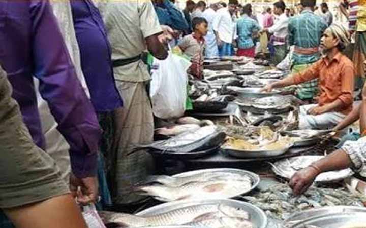 মাসয়ালাঃ মাছের রক্ত ও পানি কি নাপাক?