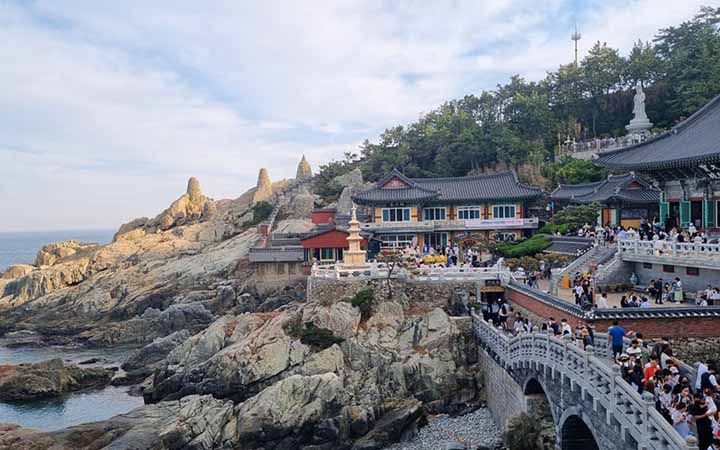 দীর্ঘ চার বছর পর উত্তর কোরিয়া বিদেশি পর্যটকদের জন্য সীমান্ত খুলে দিল