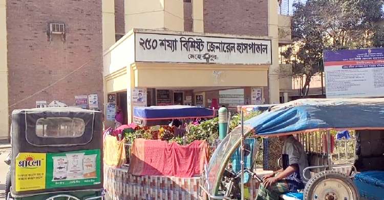 ধান মাড়াই শেষে বাড়ি ফেরা হলো না কৃষকের