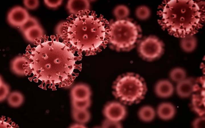 ২০০ বছর আগেও আক্রমণ চালিয়েছিল এইচএমপিভি