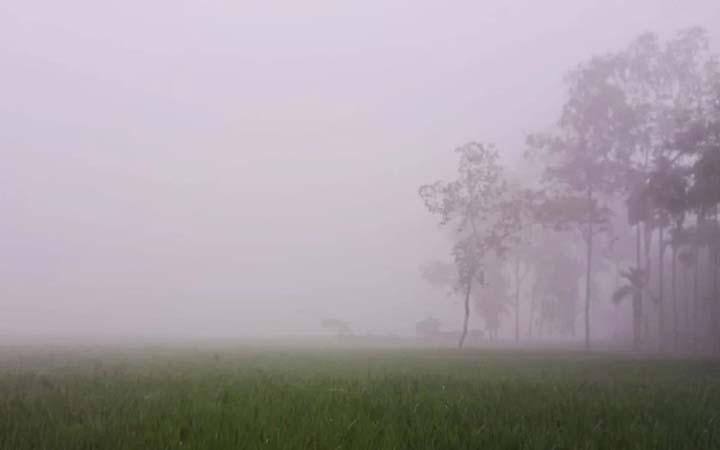 ১১.৪ ডিগ্রি তাপমাত্রায় কাঁপছে পঞ্চগড়