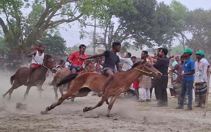 টাঙ্গাইলে ঘোড়দৌড় ও গ্রামীণ বিভিন্ন প্রতিযোগিতা