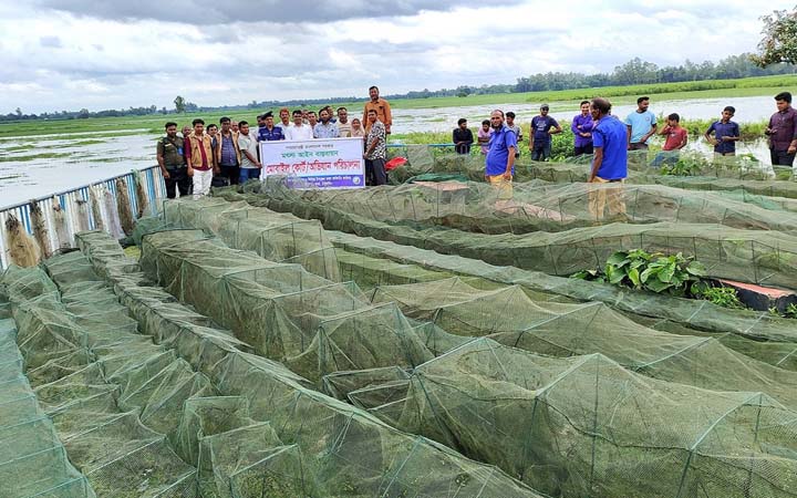 ঠাকুরগাঁওয়ে ৭০টি অবৈধ জাল জব্দ করে পুড়িয়ে দিলো প্রশাসন