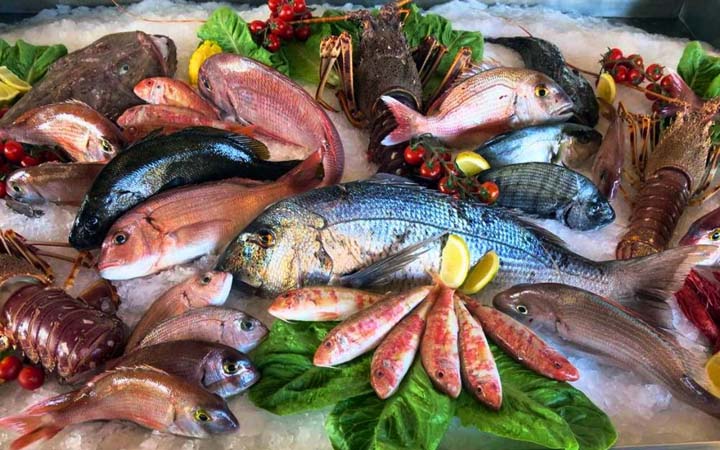 পারদের পরিমাণ বেশি থাকে যেসব মাছে