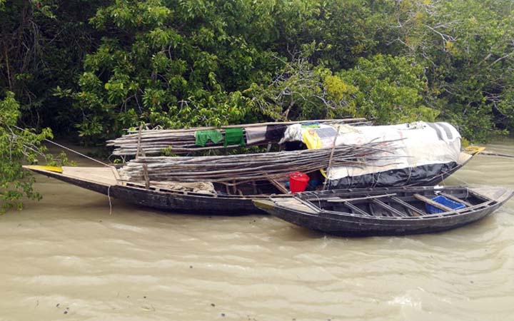 নিষেধাজ্ঞা উঠতেই হাজার জেলে সুন্দরবনে