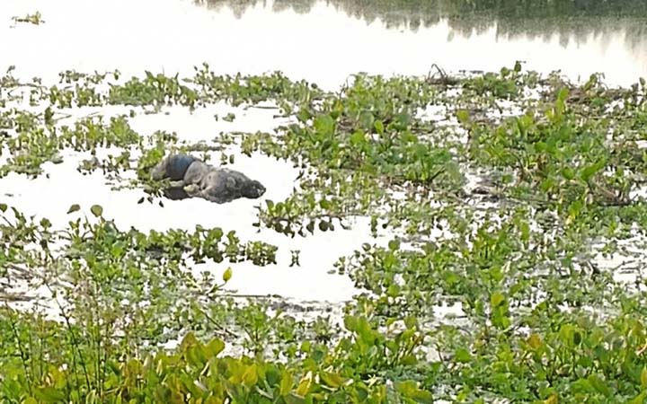 সদরপুরে নিখোঁজের ৩ দিন পর বাড়ির সামনের পুকুরে মিলল যুবকের মরদেহ