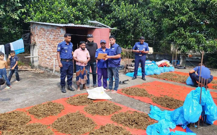 বাড়ির ছাদে শুকানো হচ্ছিল গাঁজা, আটক এক