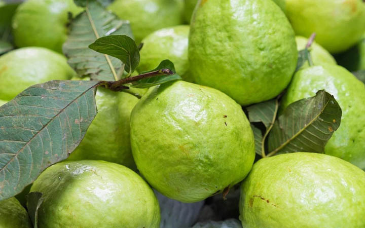 সকালে খালি পেটে পেয়ারা খাওয়ার স্বাস্থ্য উপকারিতা