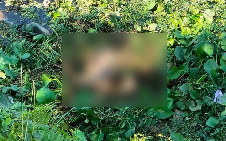নিখোঁজের চার দিন পর কিশোরের অর্ধগলিত মরদেহ মিলল দিয়াবাড়ির লেকে