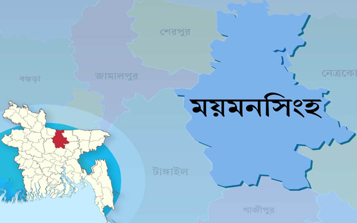 পাইকারগাতী গ্রামে জমি নিয়ে বিরোধ, অন্তঃসত্ত্বাসহ পরিবারের সাত জনকে পিটিয়ে জখম