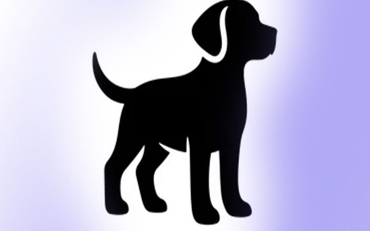 অহেতুক প্রাণী হত্যায় কী বলে ইসলাম?