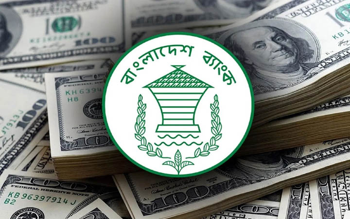 ১৩ ব্যাংক থেকে ২০ কোটি ২০ লাখ ডলার কিনল বাংলাদেশ ব্যাংক