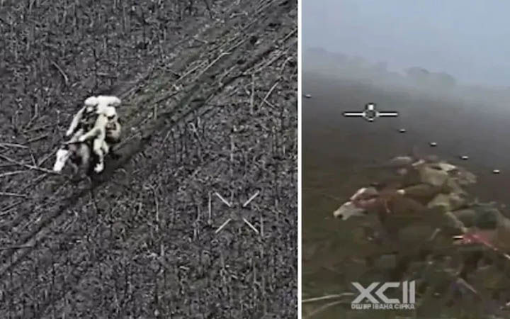 ঘোড়ায় চড়া সেনা, আকাশে ড্রোন: ইউক্রেন যুদ্ধে নতুন দৃশ্য