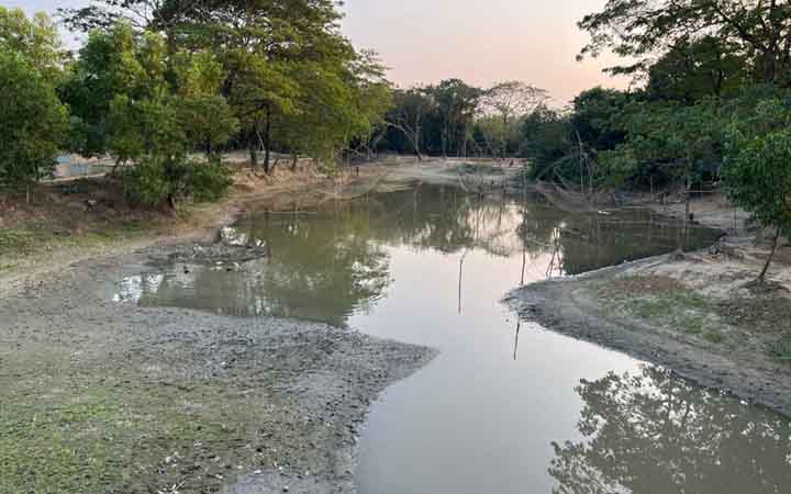 সংস্কারের অভাবে অস্তিত্ব সংকটে তিলকখালী খাল