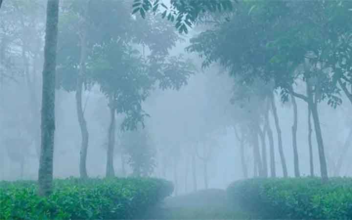 ৮ ডিগ্রিতে নামতে যাচ্ছে তাপমাত্রা, বজ্র ও শিলাবৃষ্টির আশঙ্কা