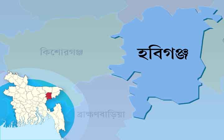 হবিগঞ্জে ধানের শীষ ও দাঁড়িপাল্লার চার সমর্থকের কারাদণ্ড