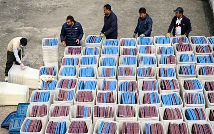 গণঅভ্যুত্থানের পর নেপালে প্রথম ভোট, প্রচারণা শুরু