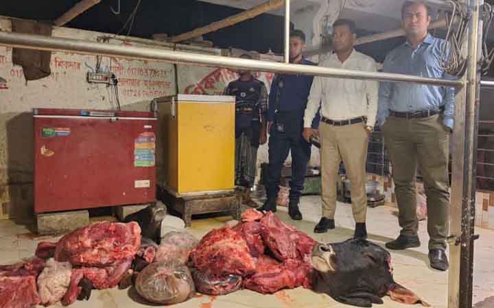 গোপালগঞ্জে মরা গরুর মাংস বিক্রি, ১০ মণ জব্দ মাংস পুঁতে ফেলা হলো