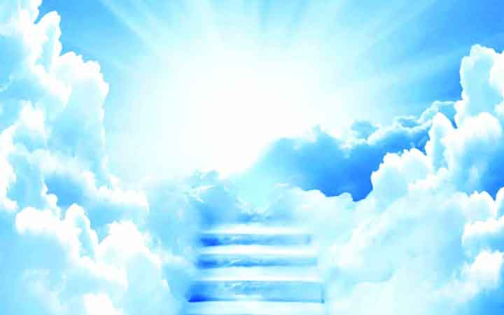 জান্নাতে বিশেষ আপ্যায়নে আমিষজাতীয় খাদ্য
