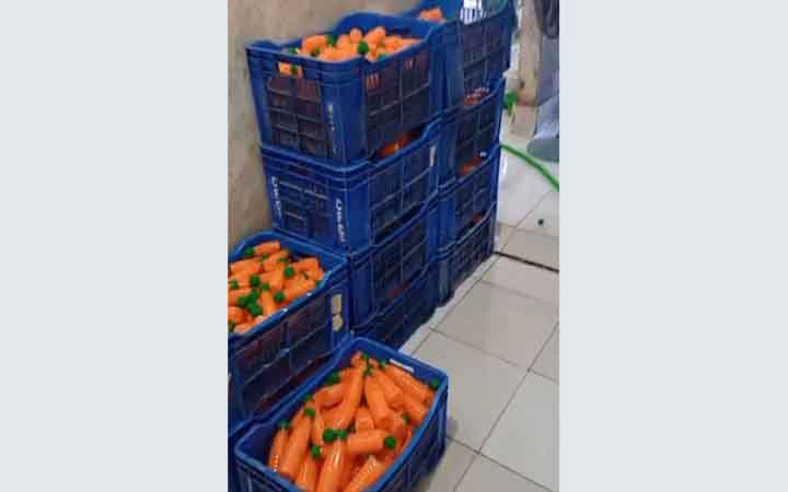 ঢাকার কেরানীগঞ্জে দুই প্রতিষ্ঠানকে ৩ লাখ টাকা জরিমানা