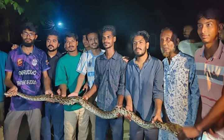 চট্টগ্রাম বিশ্ববিদ্যালয়ে ৮ ফুট দীর্ঘ আজগর উদ্ধার