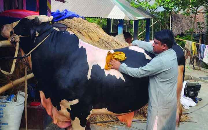 আলাভেসের কাছে হেরে স্বপ্ন শেষ বার্সেলোনার