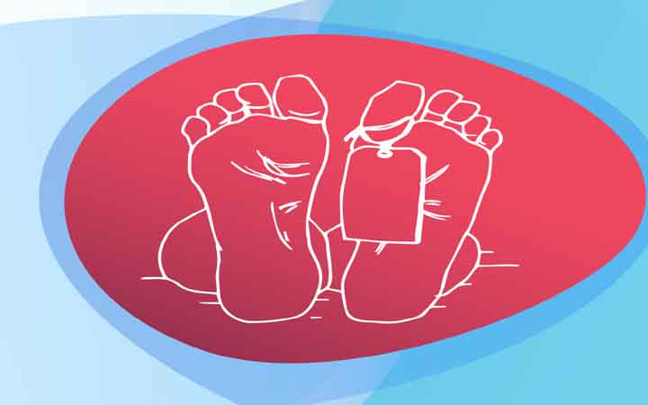 আম পাড়তে গিয়ে গাছ থেকে পড়ে বৃদ্ধের মৃত্যু