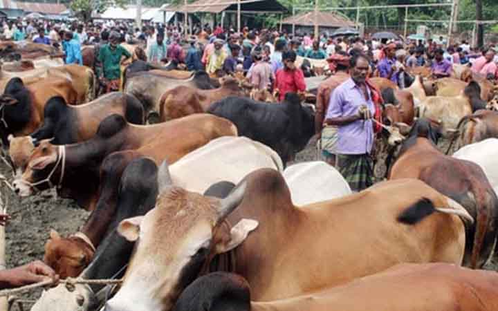 রাজধানীতে বসছে ২৬ অস্থায়ী হাট