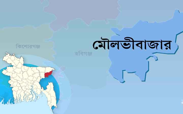 শ্রীমঙ্গলে পানিতে ডুবে দুই শিশুর মৃত্যু