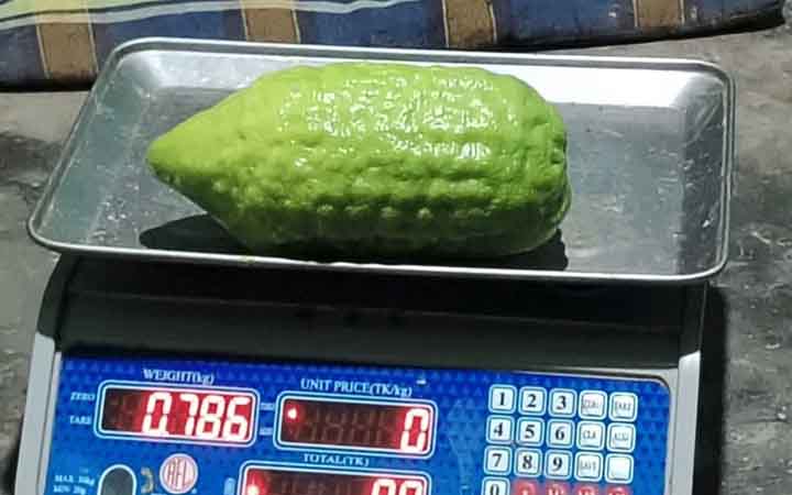 এক লেবুই ৮০০ গ্রাম, দাম ২০০ টাকা