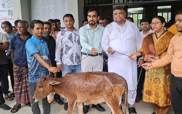 কালাইয়ে তৃতীয় লিঙ্গের জনগোষ্ঠীর প্রশিক্ষণ শেষে গাভি বিতরণ