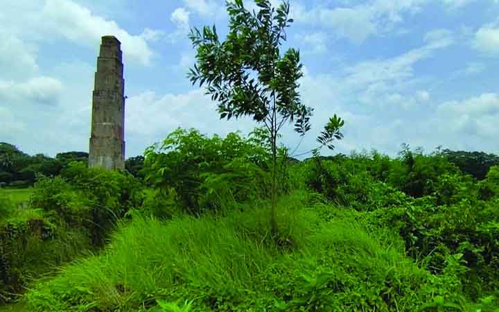 লক্ষ্মীপুরে সবুজ ঘেরা প্রকৃতিতে ইটভাটার প্রস্তুতি!