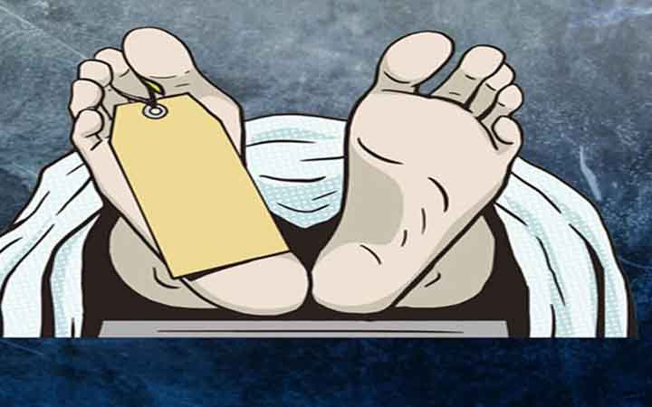 ছোট ভাইয়ের হাতে বড় ভাই খুন