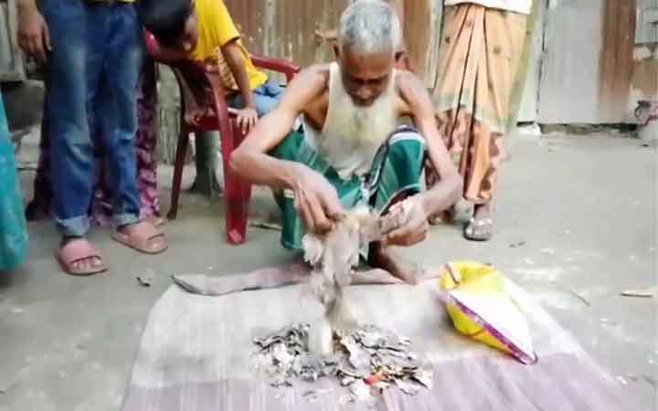 আলমারিতে জমানো ২ লাখ টাকা খেলো ইঁদুর-উইপোকা, নিঃস্ব কৃষক