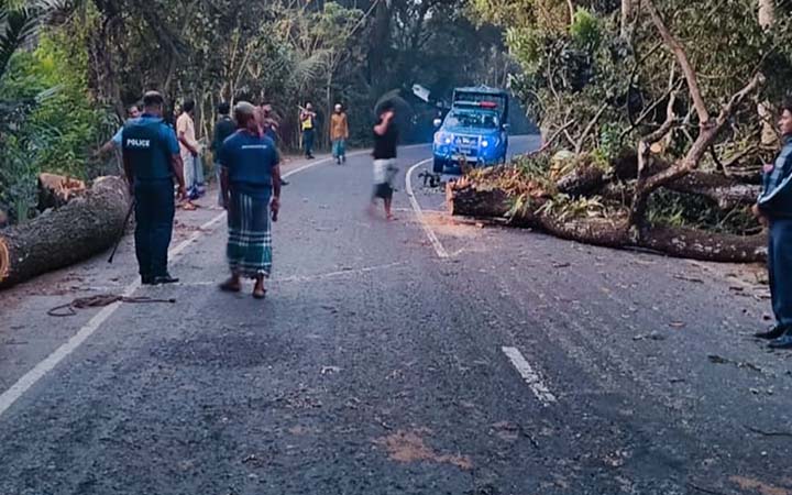 মোরেলগঞ্জে গাছ ফেলে সড়ক অবরোধ
