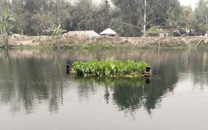 ৪০ বছর ধরে খালের পানিতে ভাসছে রহস্যময় এ কবর