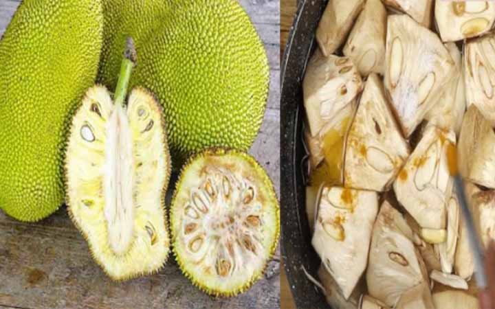 কাঁচা কাঁঠালের হরেক রকম উপকারিতা