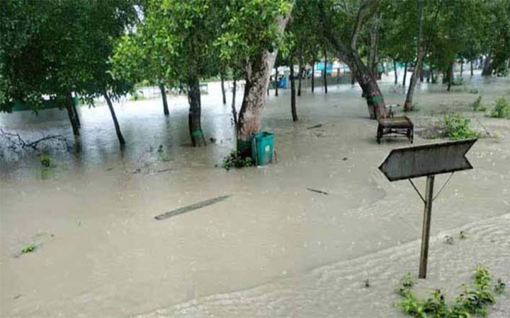 নিম্নচাপে প্লাবিত সুন্দরবন : বন্যপ্রাণী নিয়ে শঙ্কায় বনবিভাগ