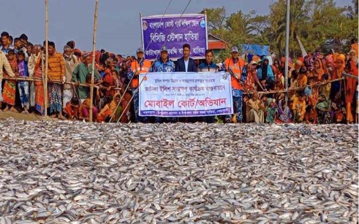 মেঘনা নদী থেকে ৪২০ মন জাটকা জব্দ