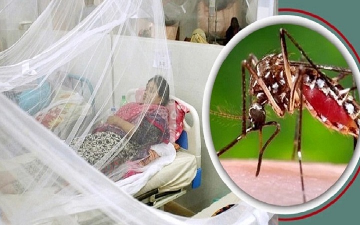 ডেঙ্গুতে আরও ৯ মৃত্যু, আক্রান্ত ছাড়াল ৩৫ হাজার