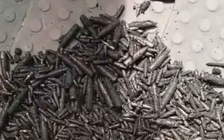 চট্টগ্রামে নালা থেকে ১৩৫০ বুলেট উদ্ধার