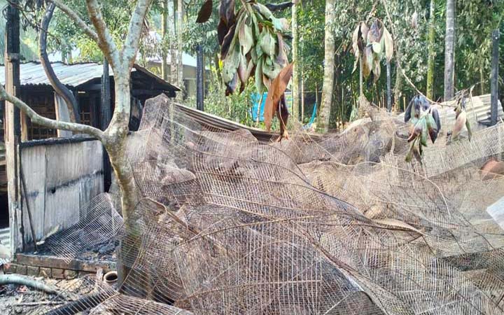 আগুনে পুড়ে ৪ হাজার পাখির মৃত্যু