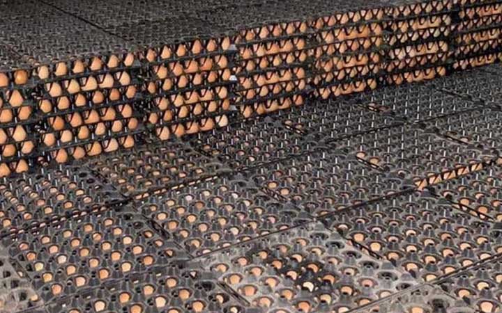 আলুর হিমাগারে পাওয়া গেল এক লাখ ডিম