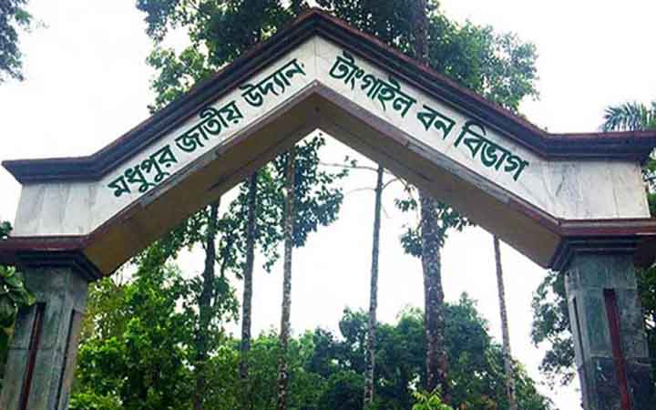 বর্ষার চারা লাগানো হলো শীতে, পরিণতি একে একে মৃত্যু