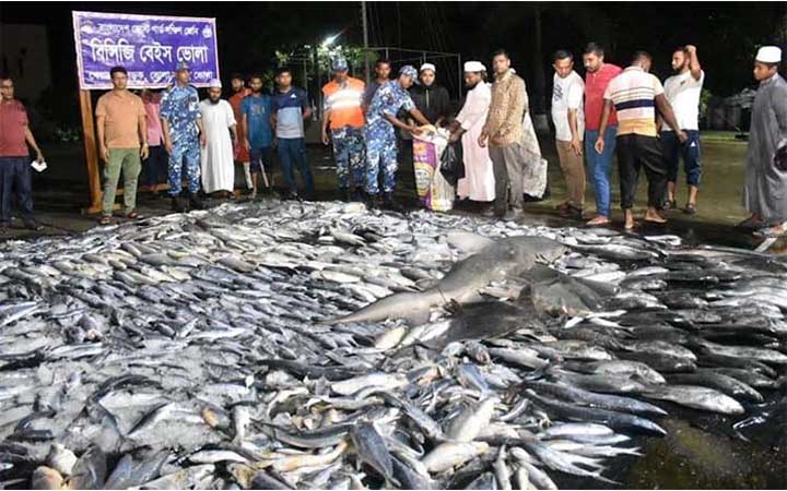 ভোলায় ৪০ মণ সামুদ্রিক মাছ জব্দ : দুই জনের জরিমানা